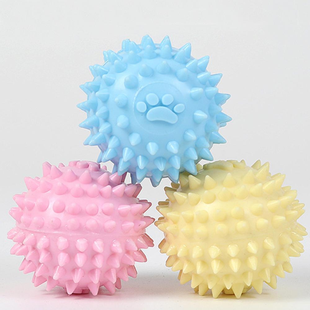 TPR pet molars interactive toy